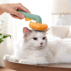 PETSCARECLUB™ Pet Cleaning Brush & Comb