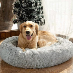 PETSCARECLUB™ Premium Plush Bed for Dogs & Cats